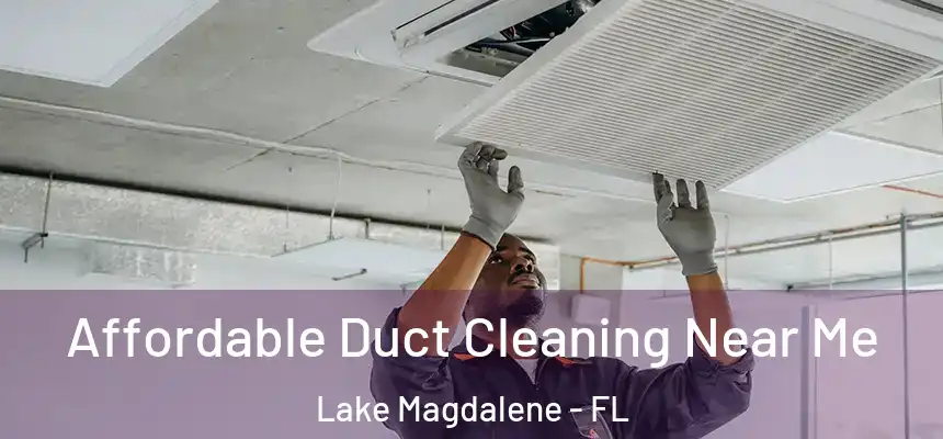 Affordable Duct Cleaning Near Me Lake Magdalene - FL