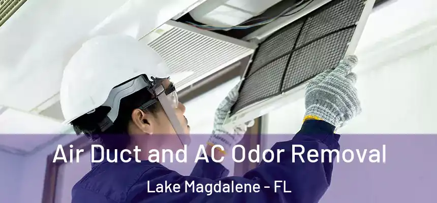 Air Duct and AC Odor Removal Lake Magdalene - FL