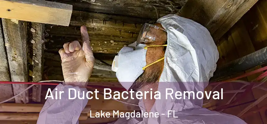 Air Duct Bacteria Removal Lake Magdalene - FL