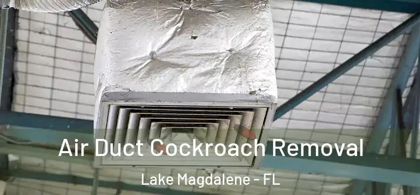Air Duct Cockroach Removal Lake Magdalene - FL