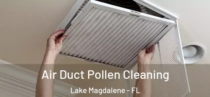 Air Duct Pollen Cleaning Lake Magdalene - FL