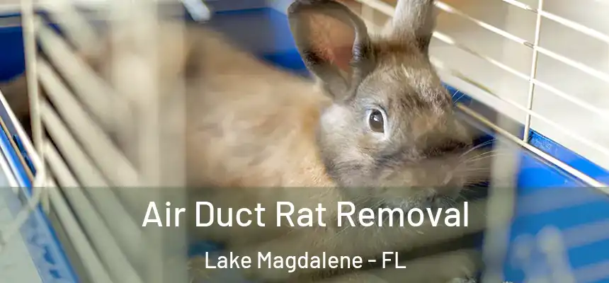 Air Duct Rat Removal Lake Magdalene - FL