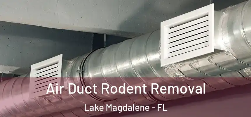 Air Duct Rodent Removal Lake Magdalene - FL