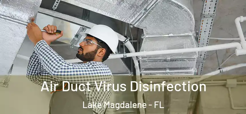 Air Duct Virus Disinfection Lake Magdalene - FL