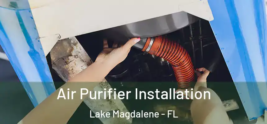Air Purifier Installation Lake Magdalene - FL