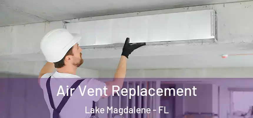 Air Vent Replacement Lake Magdalene - FL