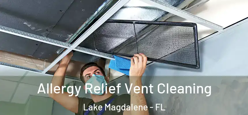 Allergy Relief Vent Cleaning Lake Magdalene - FL