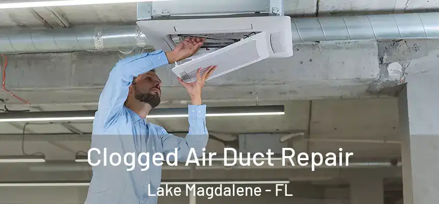 Clogged Air Duct Repair Lake Magdalene - FL