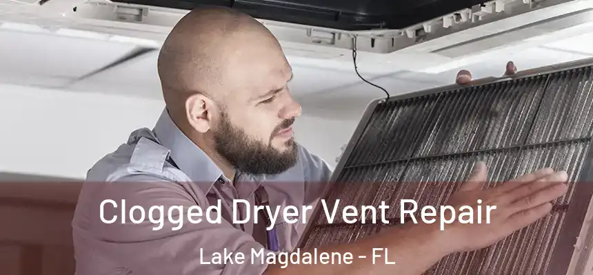 Clogged Dryer Vent Repair Lake Magdalene - FL