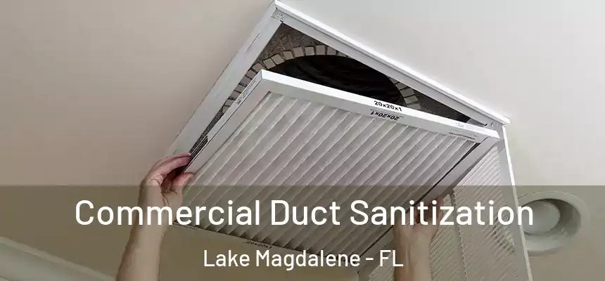 Commercial Duct Sanitization Lake Magdalene - FL