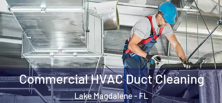 Commercial HVAC Duct Cleaning Lake Magdalene - FL