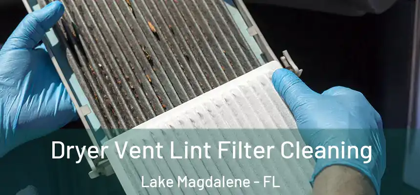 Dryer Vent Lint Filter Cleaning Lake Magdalene - FL
