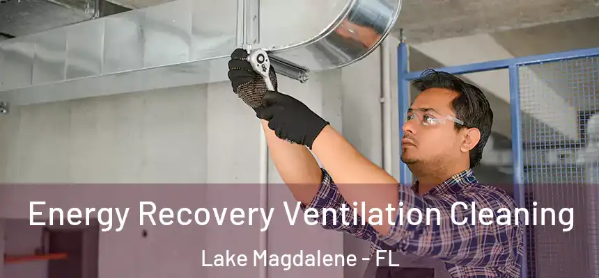 Energy Recovery Ventilation Cleaning Lake Magdalene - FL