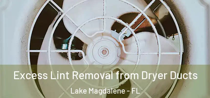 Excess Lint Removal from Dryer Ducts Lake Magdalene - FL