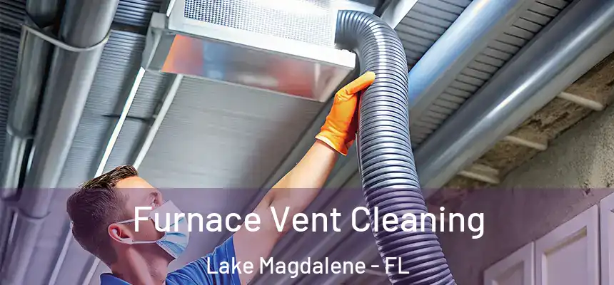 Furnace Vent Cleaning Lake Magdalene - FL