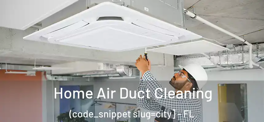  Home Air Duct Cleaning (code_snippet slug=city] - FL