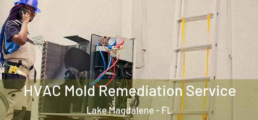HVAC Mold Remediation Service Lake Magdalene - FL