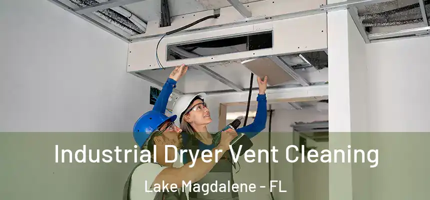 Industrial Dryer Vent Cleaning Lake Magdalene - FL