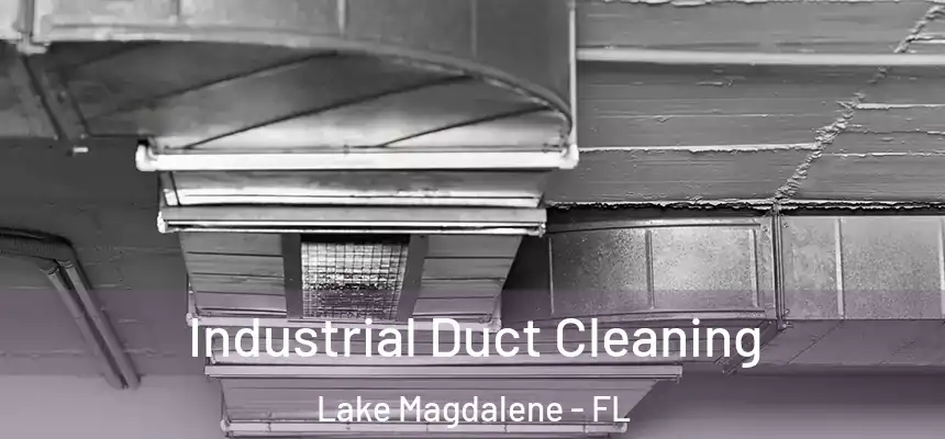 Industrial Duct Cleaning Lake Magdalene - FL