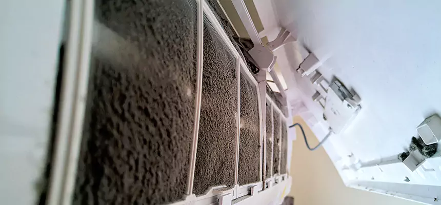 Preventive Air Duct Bacteria Removal in Lake Magdalene