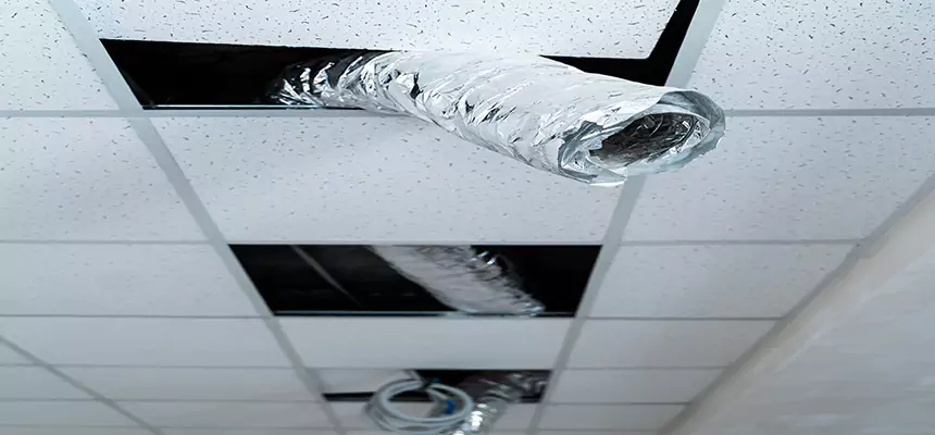 Affordable HVAC Sanitizing After Pest Removal in Lake Magdalene