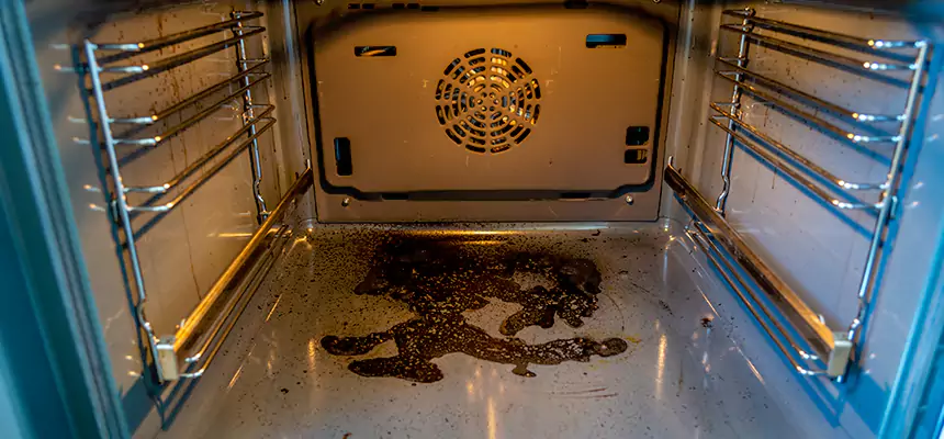 Our Dryer Vent Mold Cleaning Services in Lake Magdalene, FL