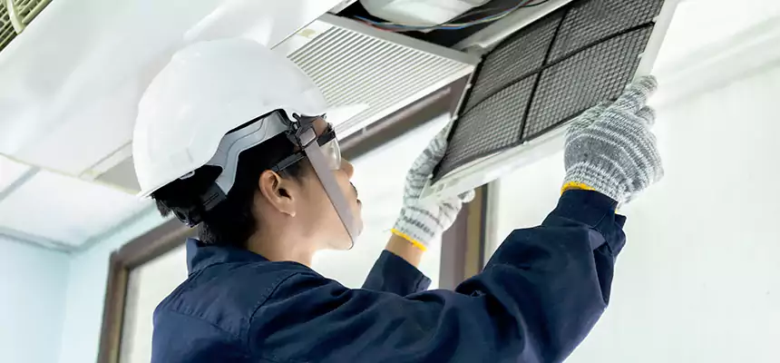 Our Mold & Mildew Removal from Air Ducts Services in Lake Magdalene, FL