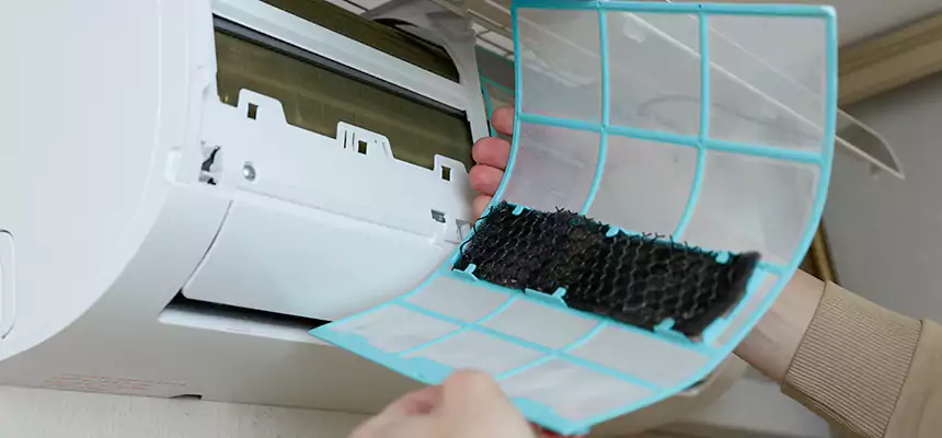 Gentle Ductwork Odor-Control Pet Dander Duct Cleaning in Lake Magdalene, FL