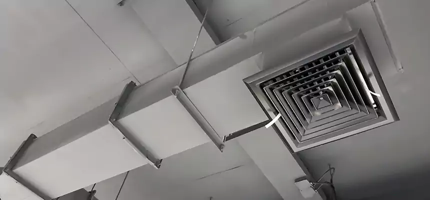 Our Rodent Droppings In Vents Services in Lake Magdalene, FL