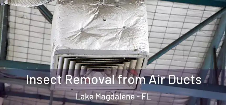 Insect Removal from Air Ducts Lake Magdalene - FL