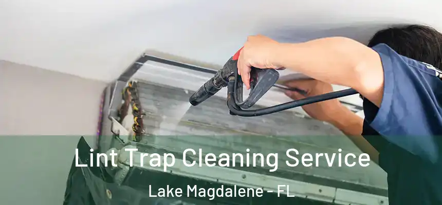 Lint Trap Cleaning Service Lake Magdalene - FL