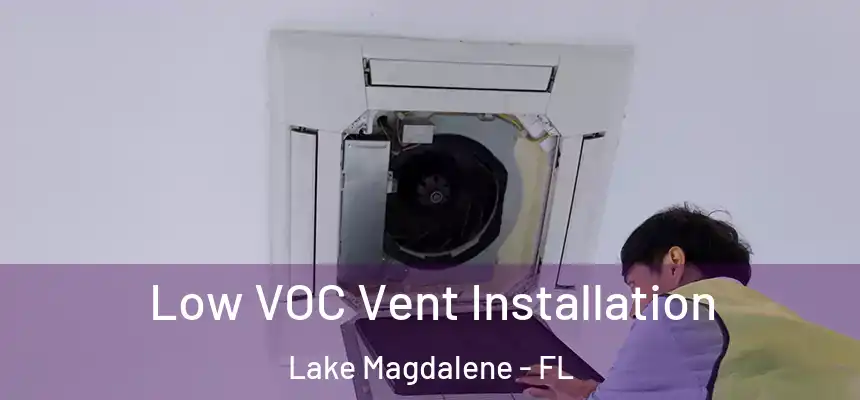 Low VOC Vent Installation Lake Magdalene - FL