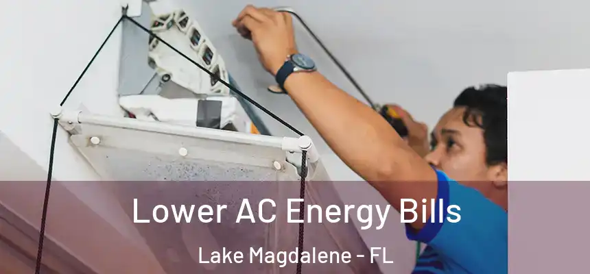Lower AC Energy Bills Lake Magdalene - FL