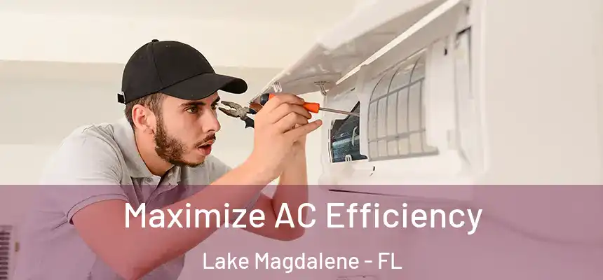 Maximize AC Efficiency Lake Magdalene - FL