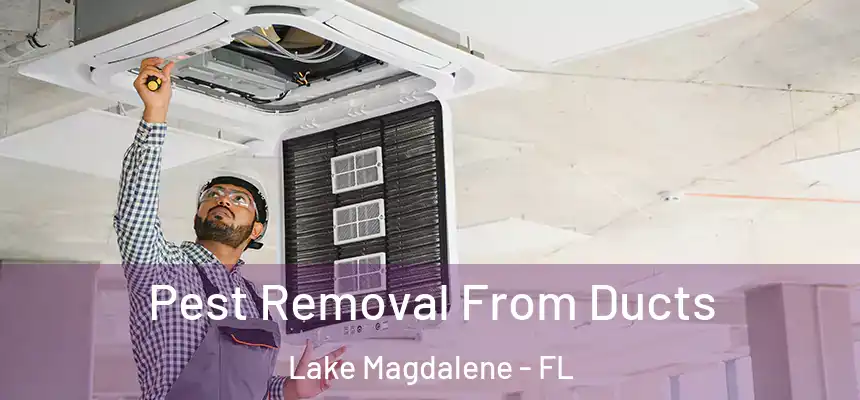 Pest Removal From Ducts Lake Magdalene - FL