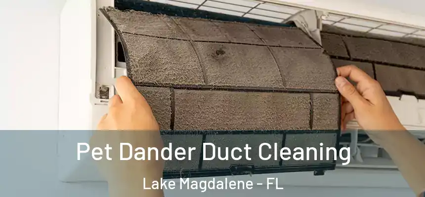 Pet Dander Duct Cleaning Lake Magdalene - FL