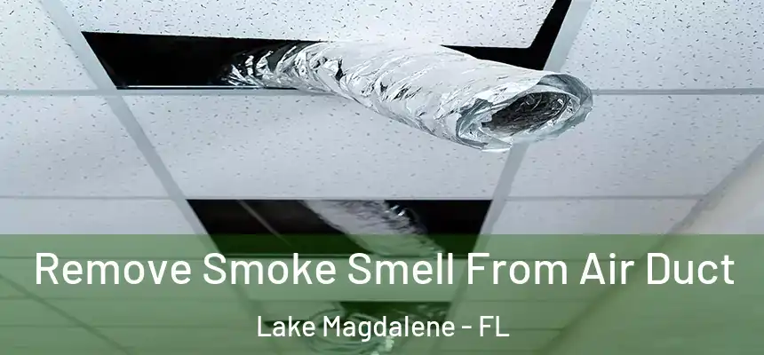 Remove Smoke Smell From Air Duct Lake Magdalene - FL