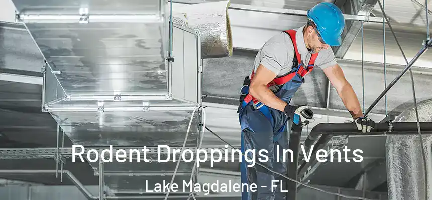 Rodent Droppings In Vents Lake Magdalene - FL
