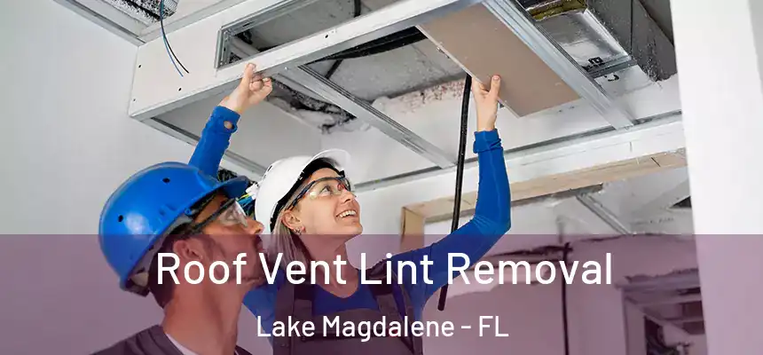 Roof Vent Lint Removal Lake Magdalene - FL