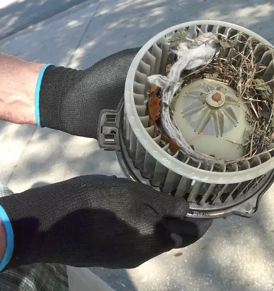 About Air Duct Mice Removal in Lake Magdalene, FL