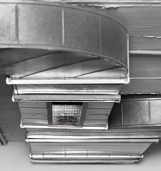 Professional Air Duct Pest Removal in Lake Magdalene, FL