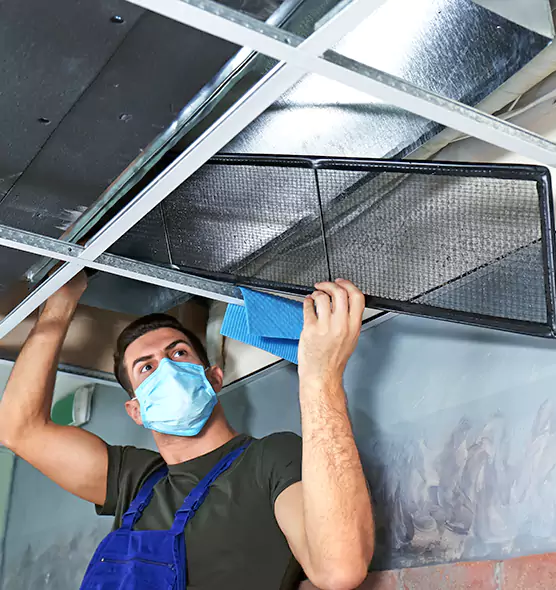 Professional Air Duct Pollen Cleaning in Lake Magdalene, FL