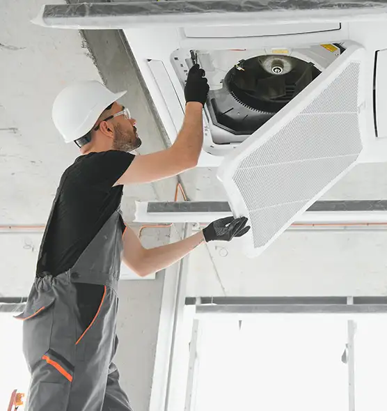 About Air Duct Rodent Removal in Lake Magdalene, FL