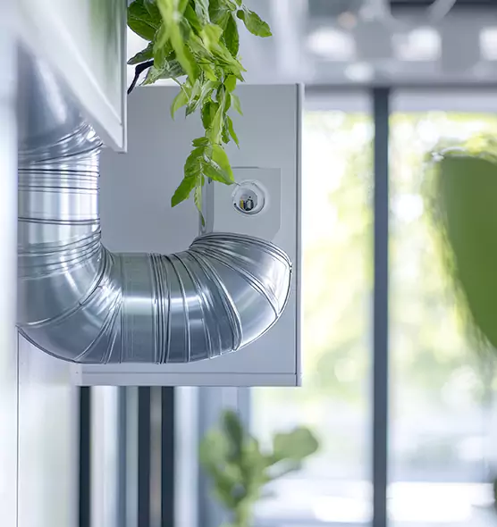 Professional Eco-Safe Dryer Vent Cleaning in Lake Magdalene, FL