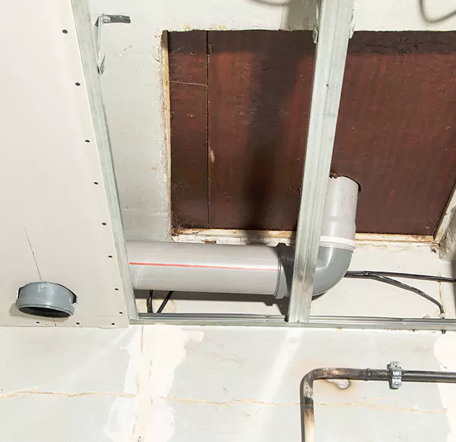 Why Homeowners & Businesses Trust Us in Lake Magdalene, FL?