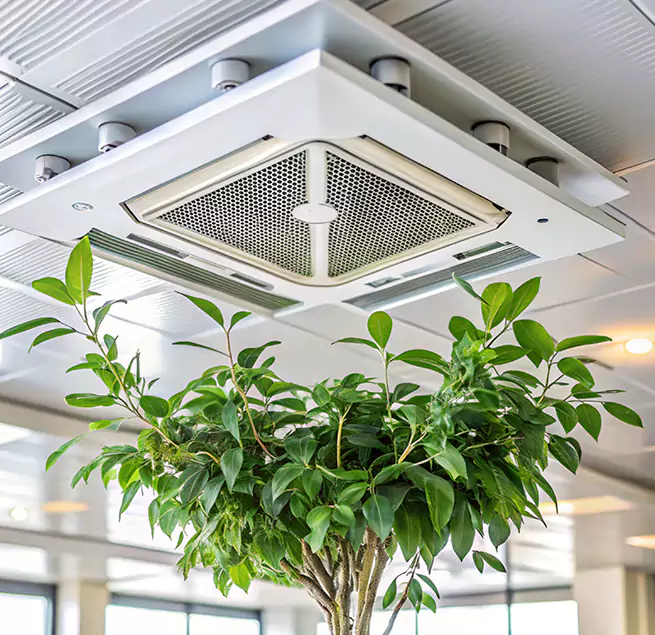 Why Homeowners & Businesses Trust Us in Lake Magdalene, FL?