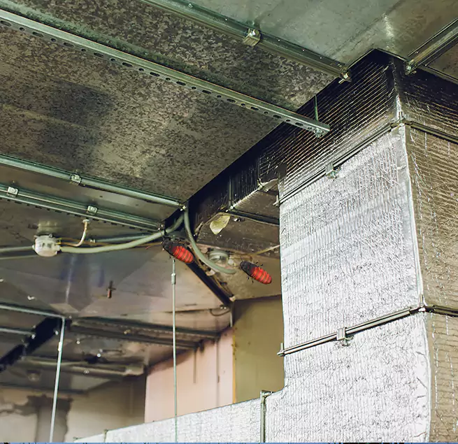 Why Homeowners & Businesses Trust Us Lake Magdalene, FL?