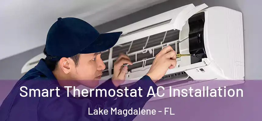 Smart Thermostat AC Installation Lake Magdalene - FL
