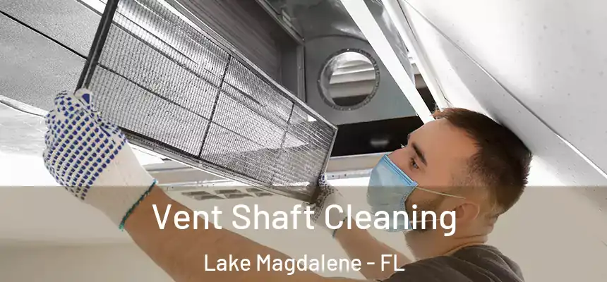 Vent Shaft Cleaning Lake Magdalene - FL