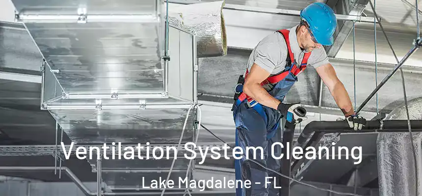 Ventilation System Cleaning Lake Magdalene - FL